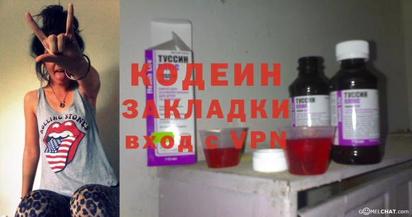 шишки Аркадак