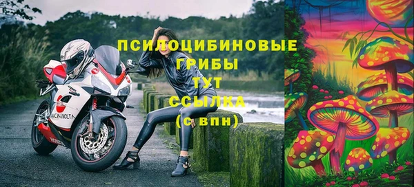 шишки Аркадак