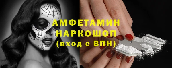 шишки Аркадак