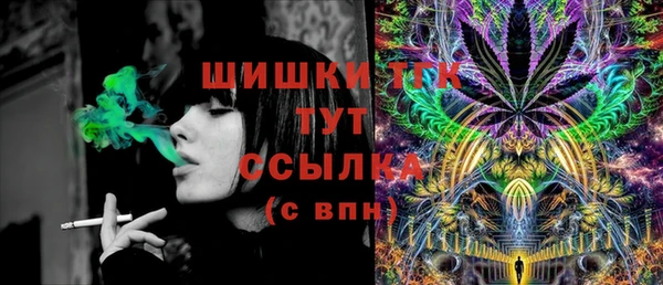 шишки Аркадак