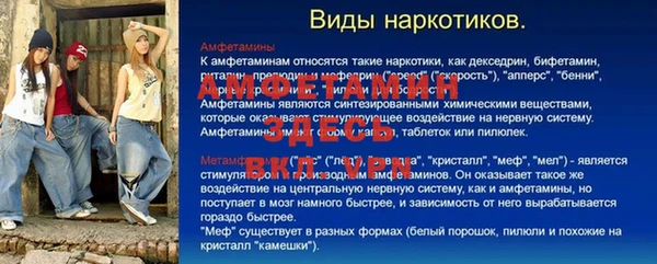 шишки Аркадак