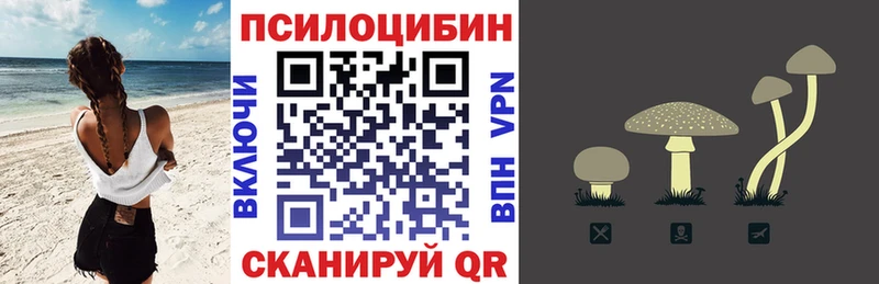 Псилоцибиновые грибы Psilocybe  где продают   Сердобск 